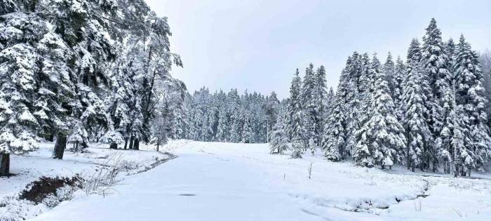 İlkbaharın Ortasında Kar Sürprizi