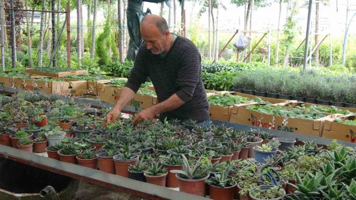 Artan Çiçek Satışları Hatay’da Bu Sefer Yüz Güldürmedi