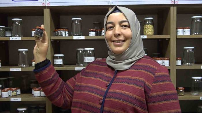 Muhafaza Edilen Ata Tohumları Çiftçilere Dağıtıldı