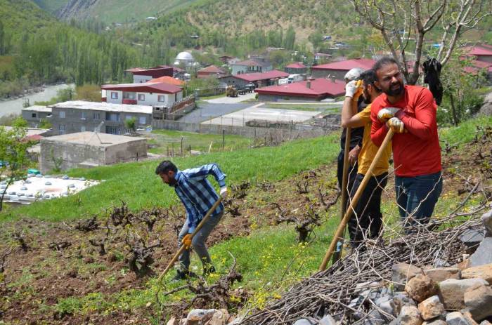 Şırnak’ta Köylülerin İmece Usulü Bağ Bozma Mesaisi Başladı