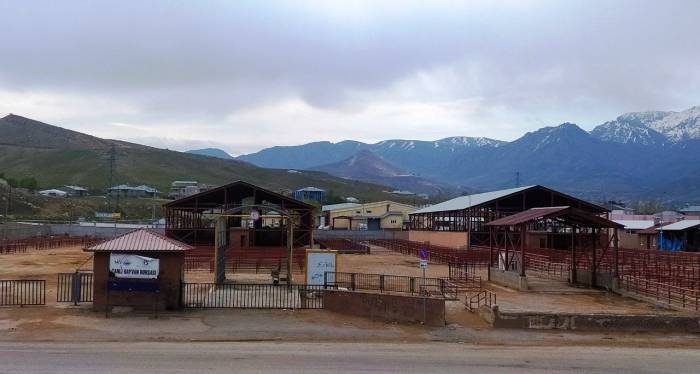 Şap Hastalığı İle İlgili Yasak Kalktı