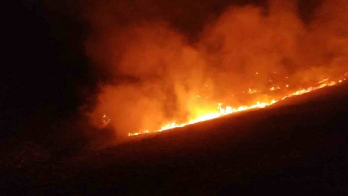 Bodrum’da Otluk Ve Makilik Arazide Yangın