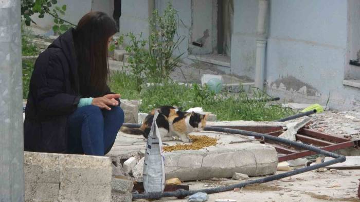 83 Gündür Kekik’i Yıkık Binalar Arasında Arıyorlar
