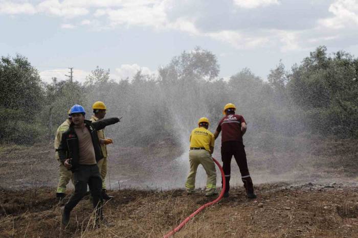 Köyceğiz Ve Dalaman Orman İşletme Müdürlüklerinde İşbaşı Eğitimi Düzenlendi