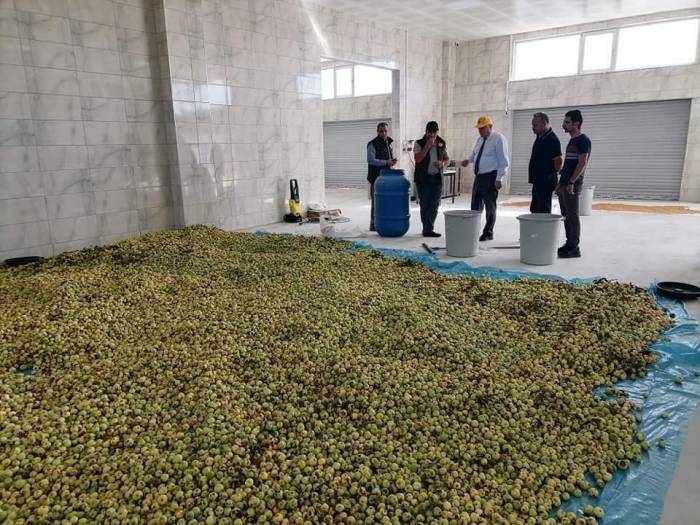 Bayburt’ta Belediyenin Kurduğu Fabrika Hem İşçiye Hem Çiftçiye Kazandırıyor