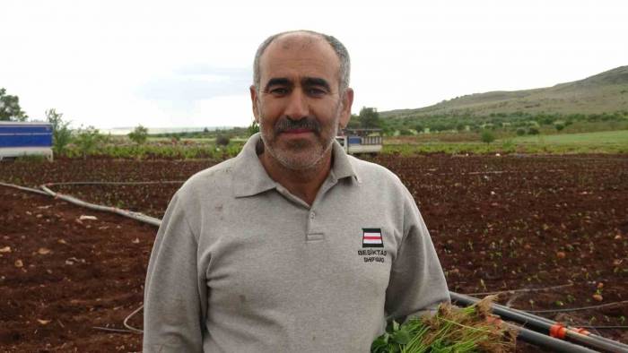 Kilis’te Çiftçiler 1 Mayısta Biber Fidelerini Toprakla Buluşturdu