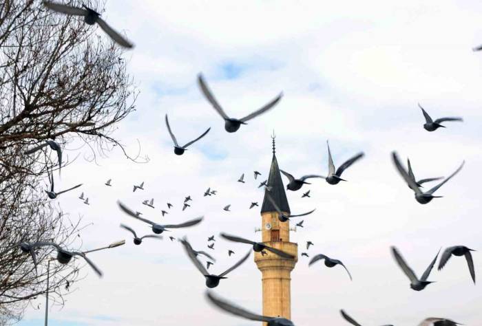 Erzurum’da Bin 601 Cami Bulunuyor
