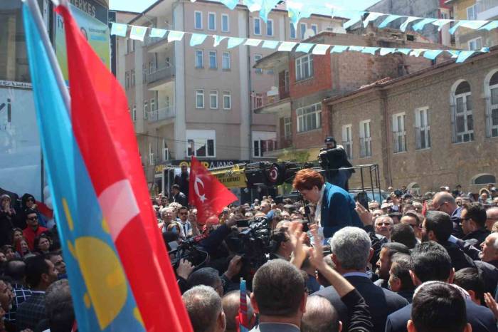 Akşener: "tür Ne Demek? Biz İnsanız, İnsan”