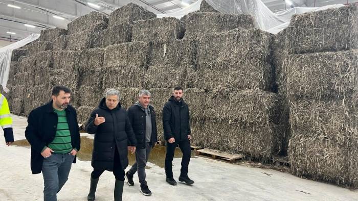 Kenevir İşleme Fabrikası Çalışmaları Sürüyor