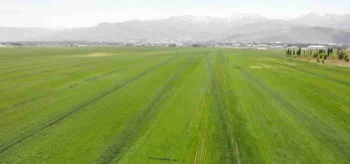 Muş, 1,8 Milyon Dolar İle İhracatını En Çok Artıran İkinci İl Oldu