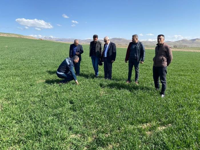 Mart Ve Nisan Yağışları Sevindirdi