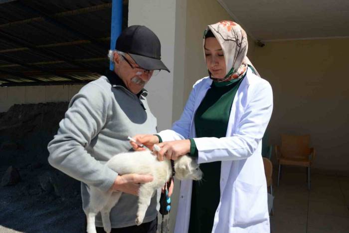Bozüyük’te Ücretsiz Kuduz Aşısı Kampanyası
