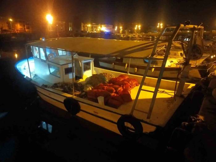 Çanakkale’de Değeri 2 Milyon Tl Olan Akivades Ele Geçirildi