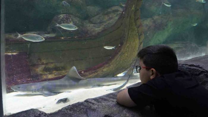 Deniz Dünyası’nda Meraklı Bakışlar