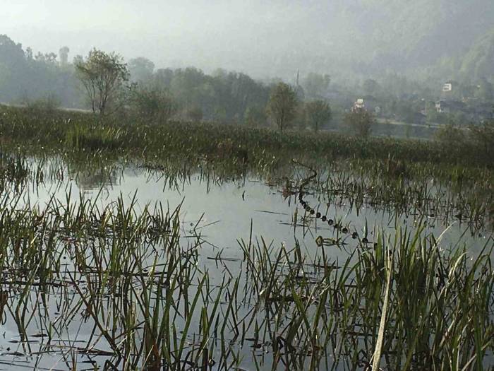 Efteni Gölü’nde Kaçak Avlanmaya Geçit Yok