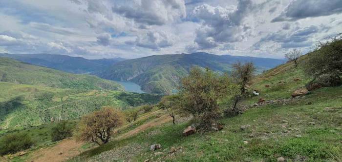 Elazığ’da Makinalı Toprak İşleme Çalışmaları Başladı