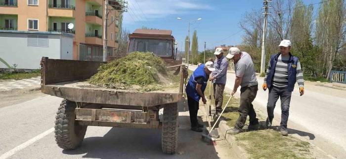 Hisarcık’ta Yabani Ot Temizliği