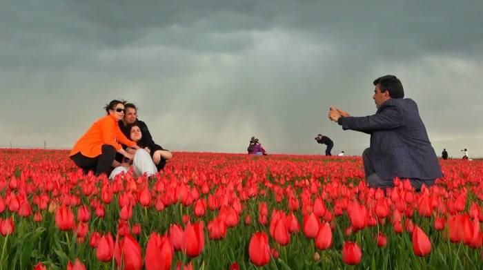Muş’ta 15 Günlük Lale Devri Başladı