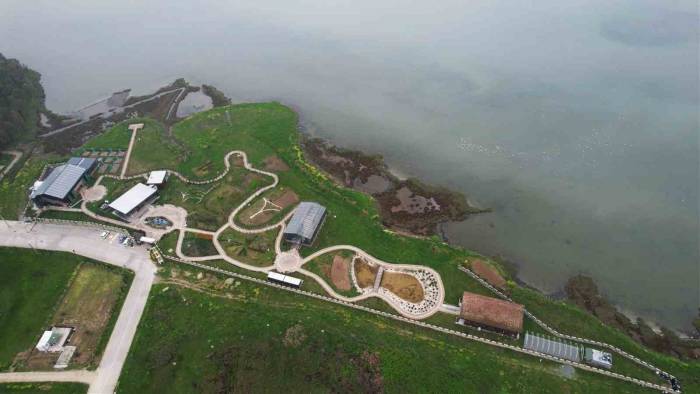 Altınova Belediyesi Tıbbi Ve Aromatik Bitkiler Bahçesi Şifa Merkezine Dönüyor