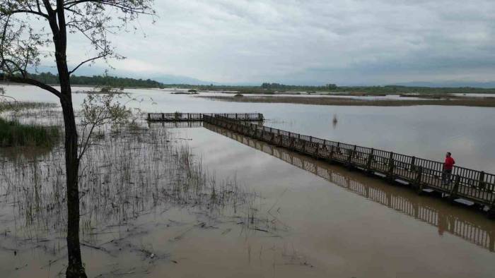 Yağış Ve Eriyen Karlar Gölün Su Seviyesini Yükseltti
