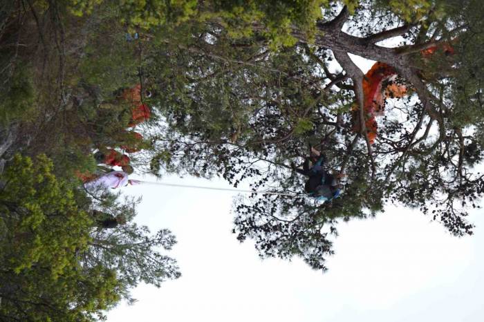 Kurtarma Ekipleri Ağaçlardan Paraşütçü Topluyor