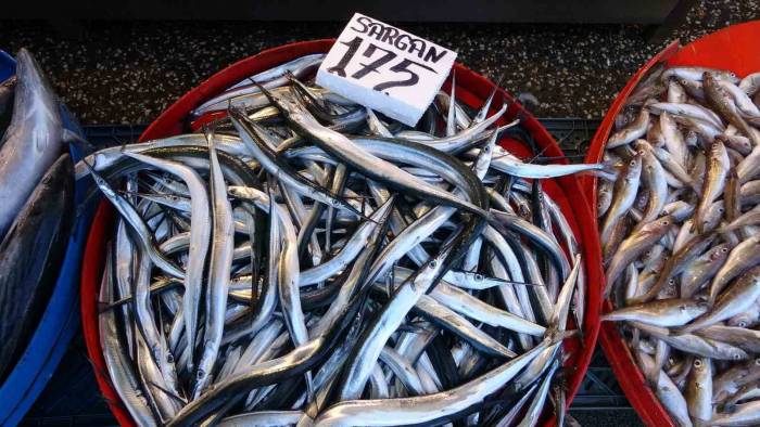 Kıyı Balıkçıları Da Umut Olmadı