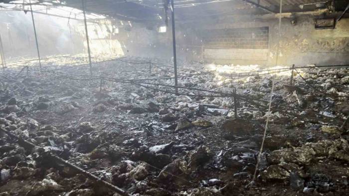 Yumurta Çiftliğinde Yangın Çıktı: 8 Bin 600 Tavuk Telef Oldu