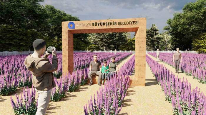 Tıbbi Aromatik Bitkiler İşlenip Değerlendirilecek