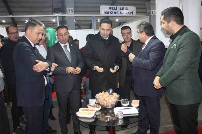 Biga’da Ceviz Ve Badem Festivali Başladı