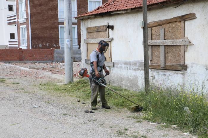 Burhaniye’de Tırpan Ve Temizlik Çalışmaları Sürüyor