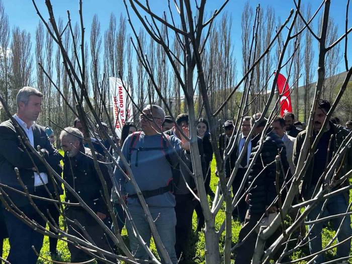 Çiftçilere Budama Eğitimi