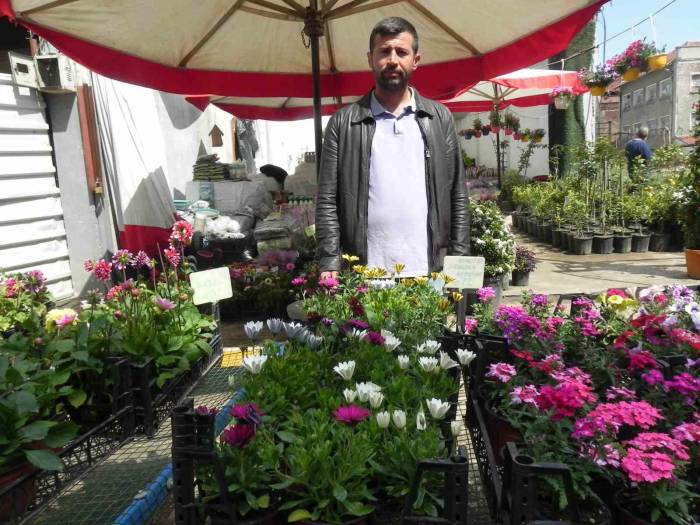 Havalar Isındı, Fideler Tezgahlardaki Yerini Almaya Başladı