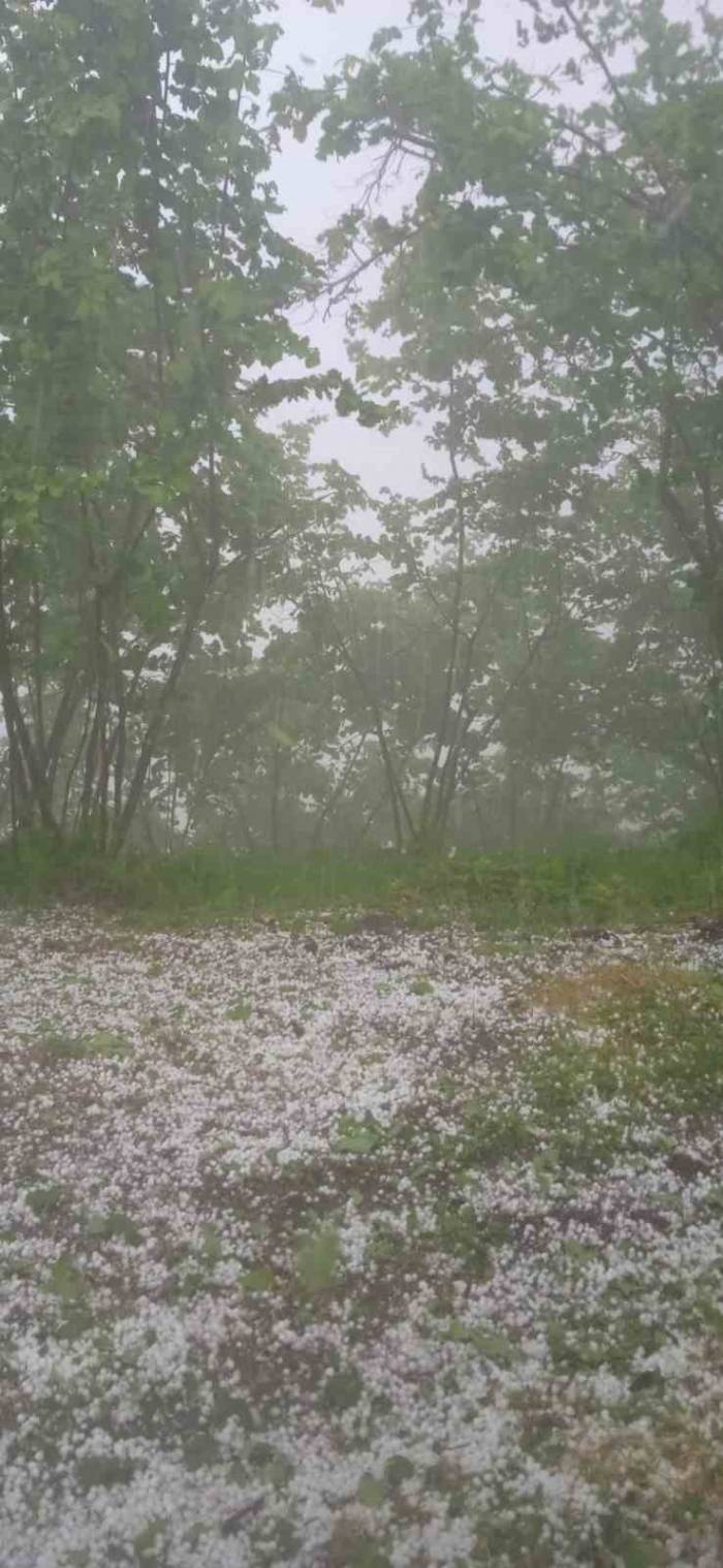 Giresun’un Yüksek Kesimlerinde Mayıs Dolusu Şaşırttı