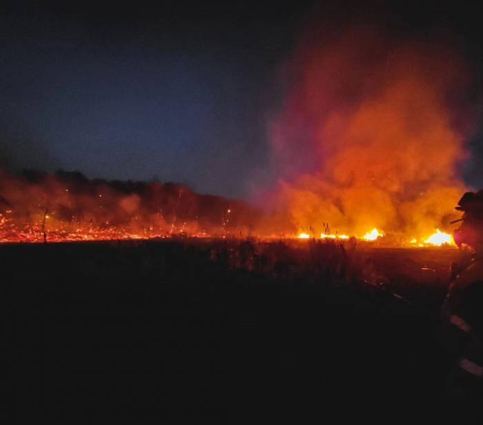 Kanada’da Orman Yangınları 110 Farklı Noktada Devam Ediyor