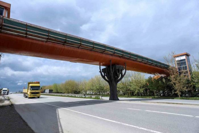 Ormanya Üst Geçidine Durak Cebi Yapılıyor