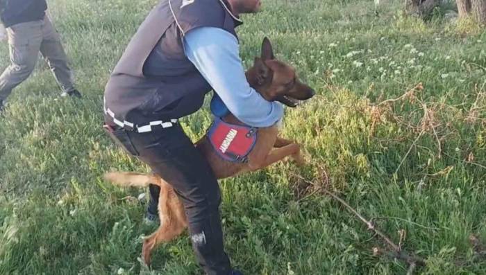Aksaray’da Uyuşturucu Operasyonu: 5 Gözaltı