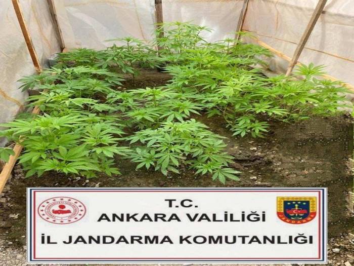 Başkentte Uyuşturucuyla Mücadele Çalışmaları Hız Kesmeden Devam Ediyor