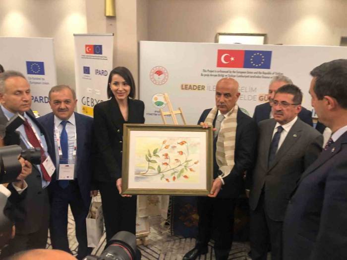 Kavak Yeg Başarısı