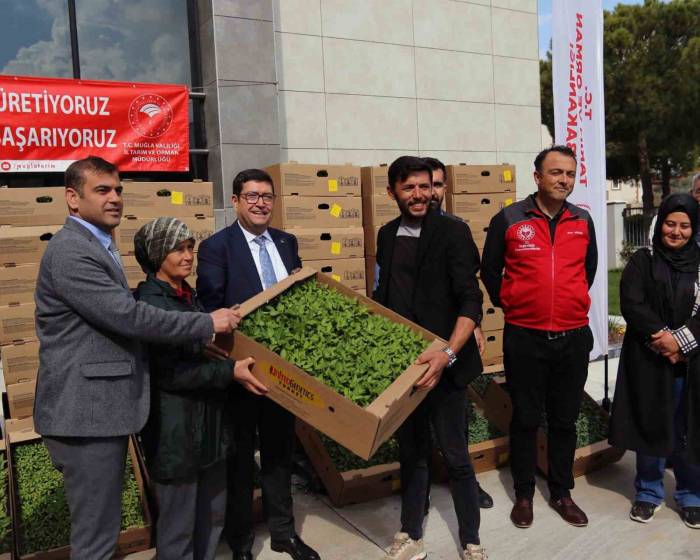 Muğla’da 2,5 Milyon Ata Fidesi Toprakla Buluştu
