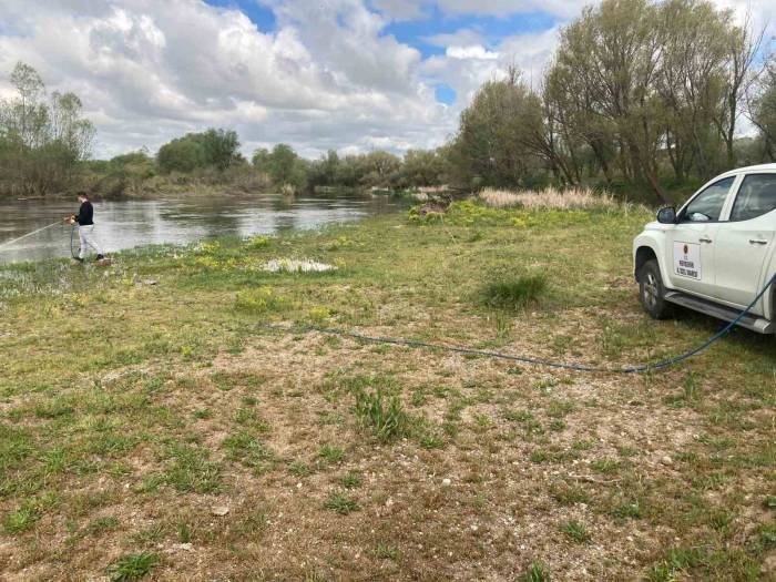 Kızılırmak’ta Üvez Sineği İle Etkin Mücadele Yapılıyor