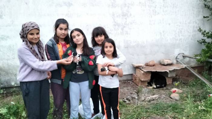 Çuvalda Buldukları 9 Yavru Köpeğe Sahip Çıktılar, Annelerine De Kavuşturdular