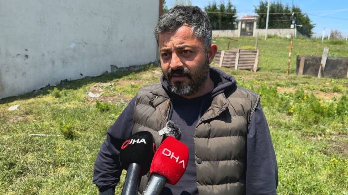 Sokak Köpeklerinin Saldırdığı 14 Kurbanlık Telef Oldu