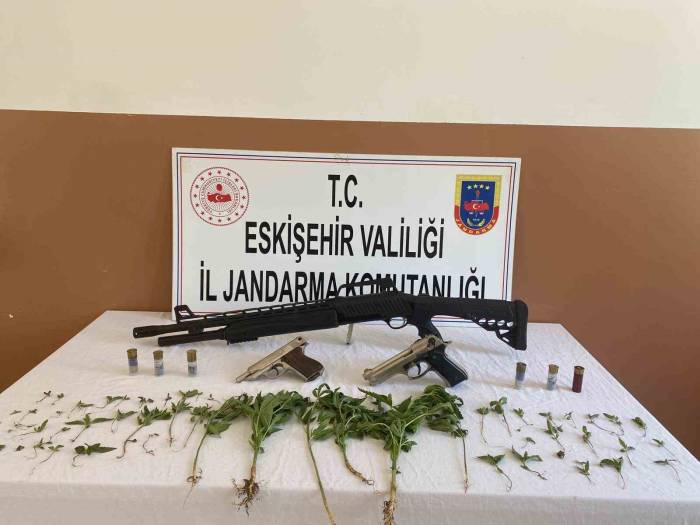 Yasa Dışı Esrar Yetiştiren Şahsın Evine Jandarmadan Operasyon