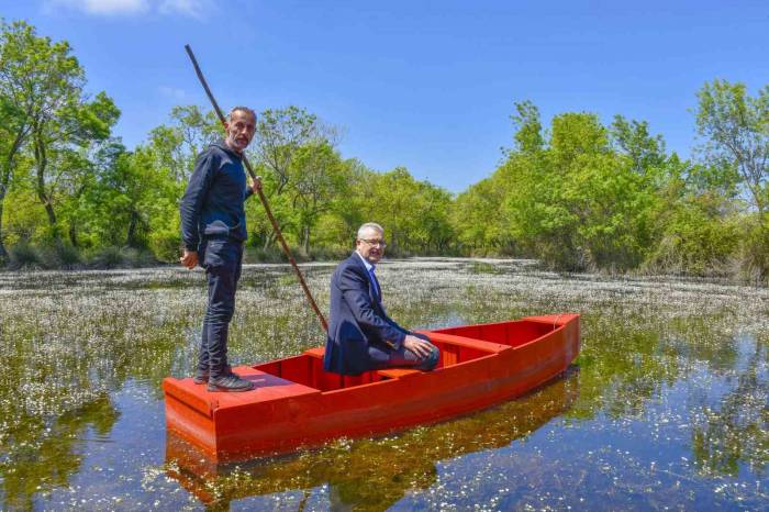 Karacabey Longozu’nda Renklerin Festivali Başladı