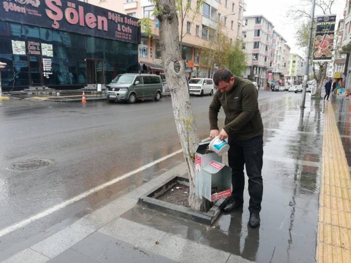 Kars Belediyesi 130 Noktada Sokak Köpeklerinin Beslenmesini Sağlıyor