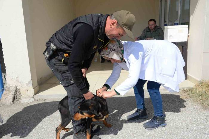 Bozüyük’te Ücretsiz Kuduz Aşısı Kampanyası Kapsamında 263 Aşı Yapıldı