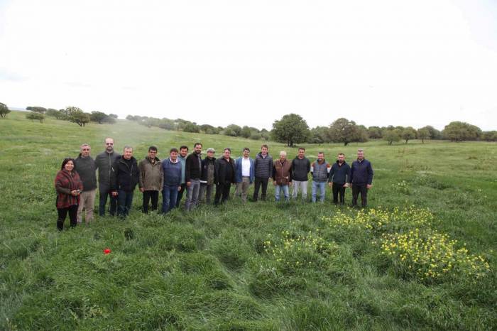 Gökçeada’da 4150 Dekarlık Mera Otlatmaya Açıldı