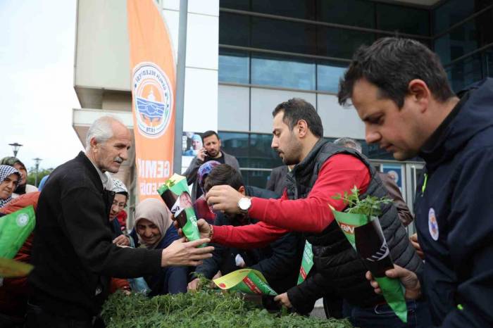 Gemlik Belediyesi’nden Organik Tarıma Destek