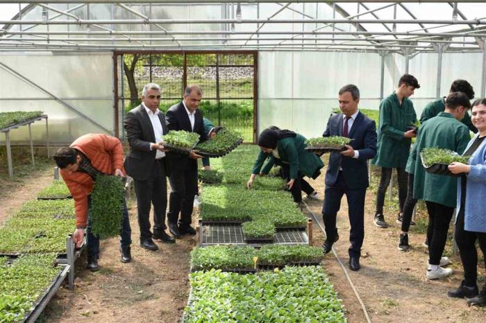 Erzincan’da Tarım Bölümü Öğrencileri Hem Öğreniyor, Hem Üretiyor