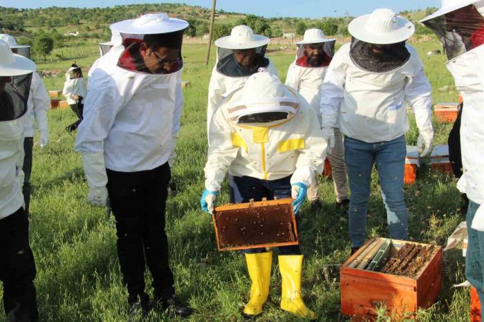 Şırnak’ta Bal Üreticilerine Verilen Destek Yüzleri Güldürdü